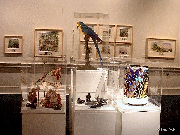 Watermarks exhibition and parrot tableau